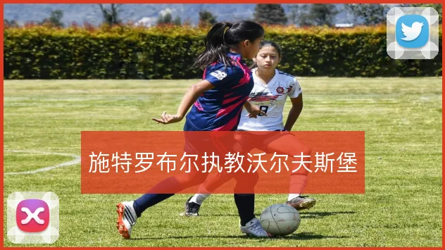 施特罗布尔执教沃尔夫斯堡