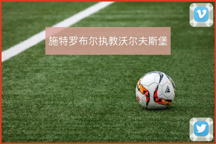 施特罗布尔执教沃尔夫斯堡